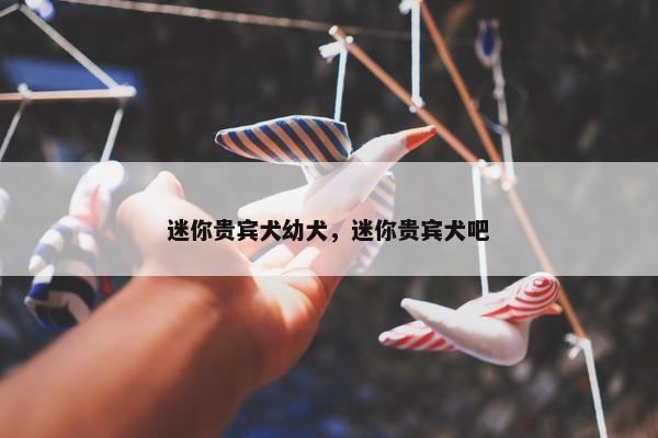 迷你贵宾犬幼犬，迷你贵宾犬吧