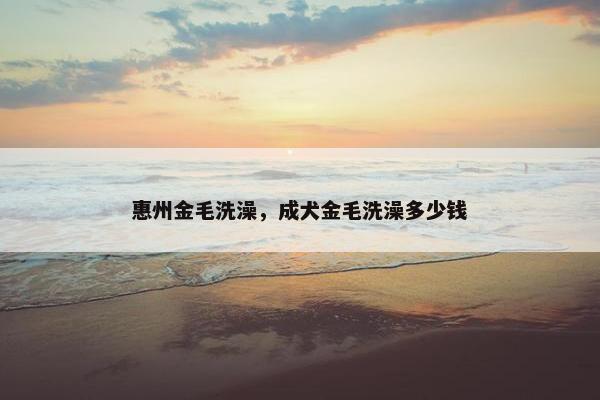 惠州金毛洗澡，成犬金毛洗澡多少钱