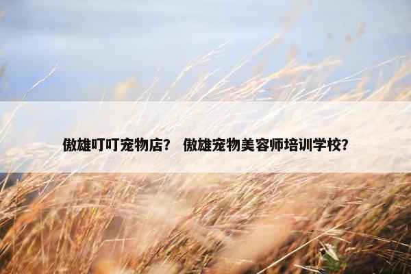 傲雄叮叮宠物店？ 傲雄宠物美容师培训学校？