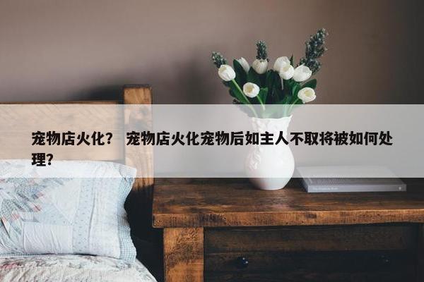 宠物店火化？ 宠物店火化宠物后如主人不取将被如何处理？
