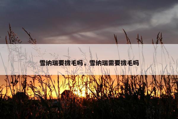雪纳瑞要拔毛吗，雪纳瑞需要拔毛吗