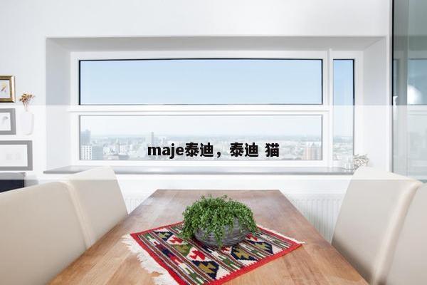 maje泰迪，泰迪 猫