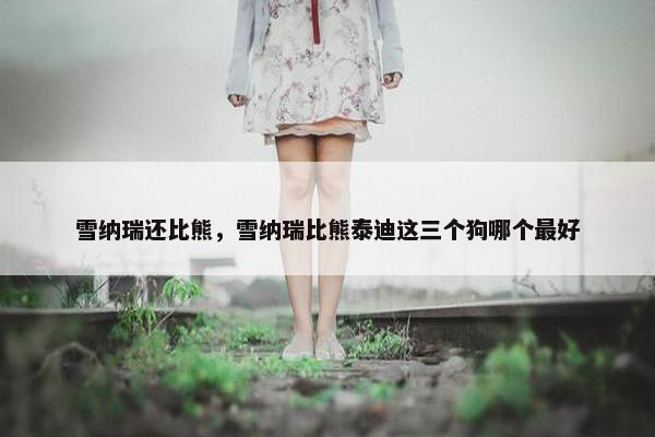 雪纳瑞还比熊，雪纳瑞比熊泰迪这三个狗哪个最好