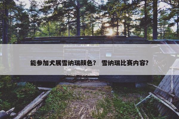 能参加犬展雪纳瑞颜色？ 雪纳瑞比赛内容？