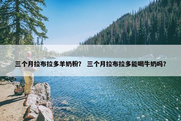 三个月拉布拉多羊奶粉？ 三个月拉布拉多能喝牛奶吗？