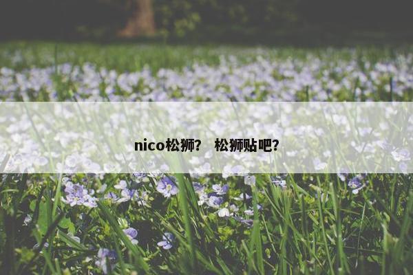 nico松狮？ 松狮贴吧？