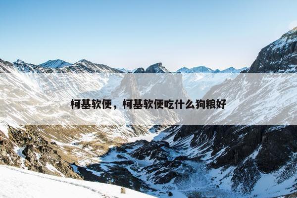 柯基软便，柯基软便吃什么狗粮好