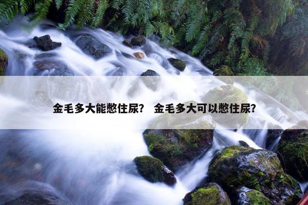 金毛多大能憋住尿？ 金毛多大可以憋住尿？