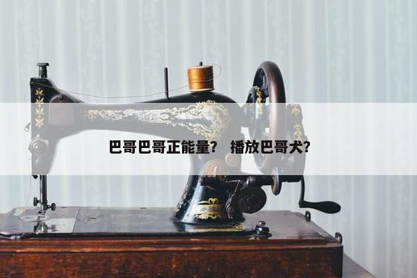 巴哥巴哥正能量？ 播放巴哥犬？