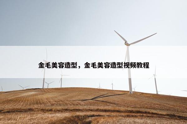 金毛美容造型，金毛美容造型视频教程