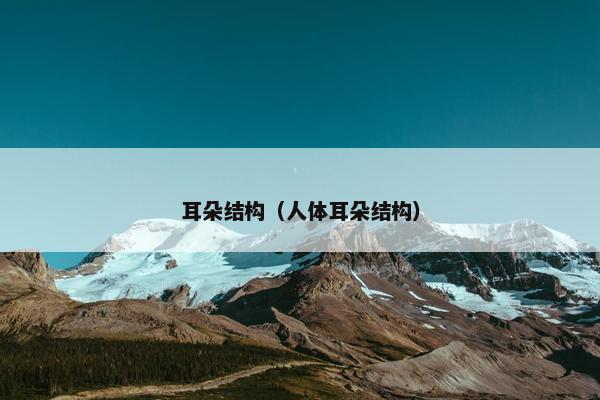 耳朵结构（人体耳朵结构）