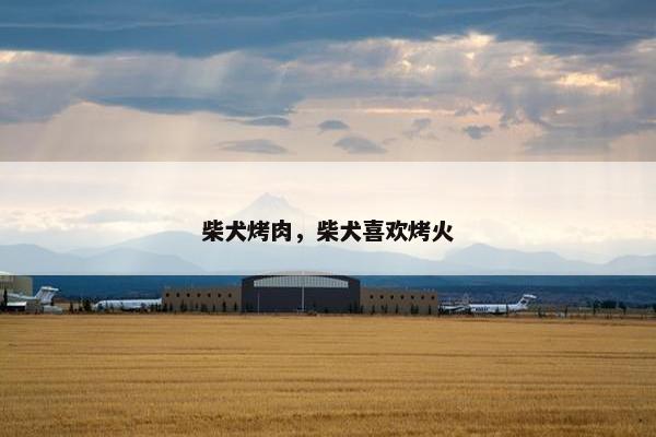 柴犬烤肉，柴犬喜欢烤火