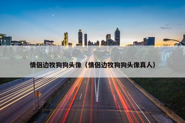 情侣边牧狗狗头像（情侣边牧狗狗头像真人）