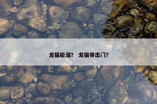 龙猫能溜？ 龙猫带出门？