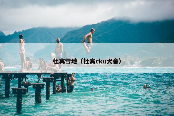 杜宾雪地（杜宾cku犬舍）