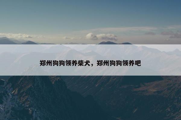 郑州狗狗领养柴犬，郑州狗狗领养吧