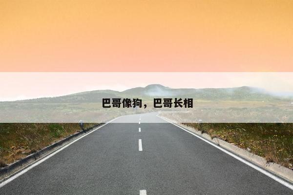 巴哥像狗，巴哥长相
