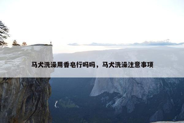 马犬洗澡用香皂行吗吗，马犬洗澡注意事项