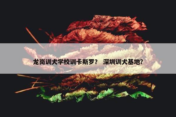 龙岗训犬学校训卡斯罗？ 深圳训犬基地？