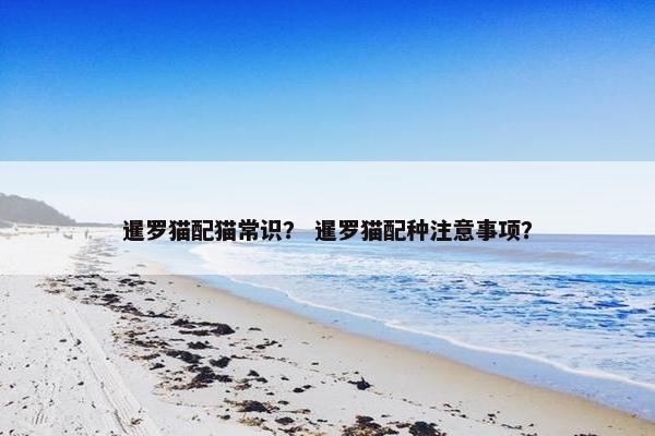 暹罗猫配猫常识？ 暹罗猫配种注意事项？