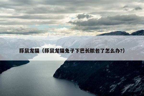 豚鼠龙猫（豚鼠龙猫兔子下巴长脓包了怎么办?）