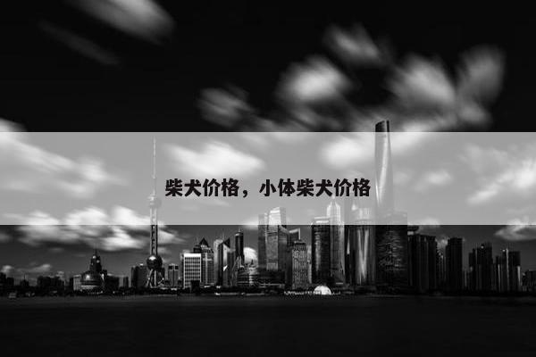 柴犬价格，小体柴犬价格