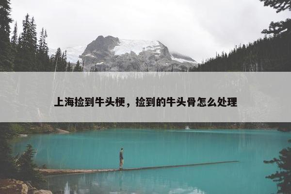上海捡到牛头梗，捡到的牛头骨怎么处理