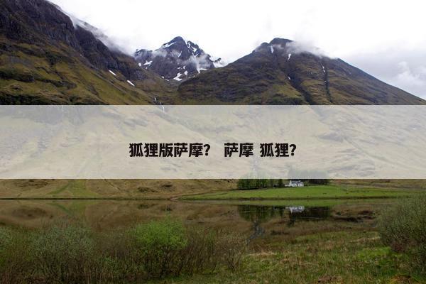 狐狸版萨摩？ 萨摩 狐狸？