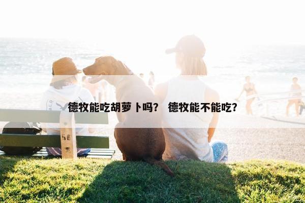 德牧能吃胡萝卜吗？ 德牧能不能吃？