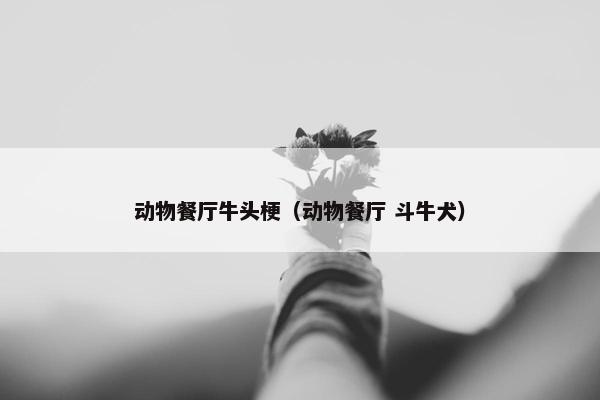 动物餐厅牛头梗（动物餐厅 斗牛犬）