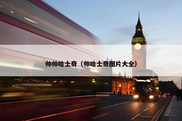 帅帅哈士奇（帅哈士奇图片大全）