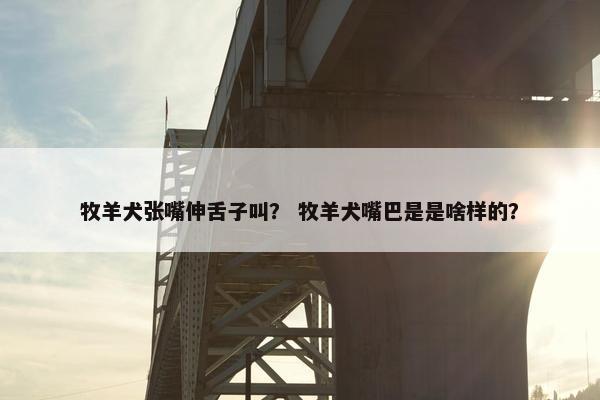 牧羊犬张嘴伸舌子叫？ 牧羊犬嘴巴是是啥样的？