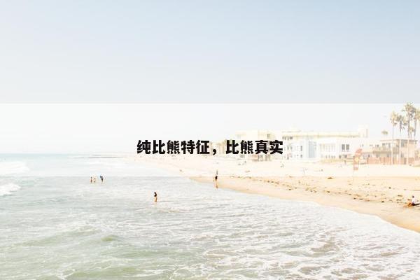 纯比熊特征，比熊真实