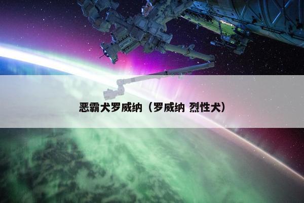 恶霸犬罗威纳（罗威纳 烈性犬）