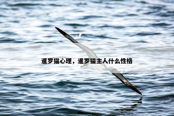 暹罗猫心理，暹罗猫主人什么性格