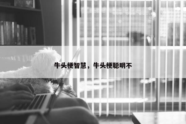 牛头梗智慧，牛头梗聪明不