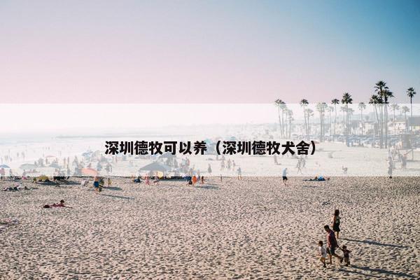 深圳德牧可以养（深圳德牧犬舍）