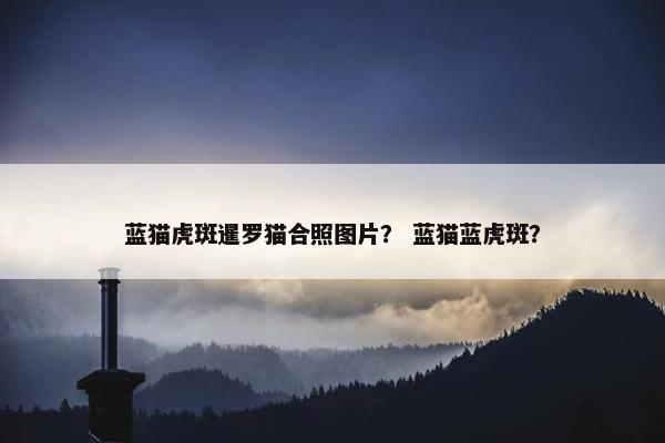 蓝猫虎斑暹罗猫合照图片？ 蓝猫蓝虎斑？