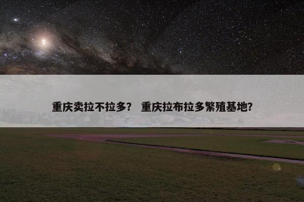 重庆卖拉不拉多？ 重庆拉布拉多繁殖基地？