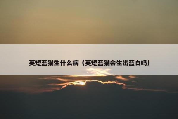 英短蓝猫生什么病（英短蓝猫会生出蓝白吗）