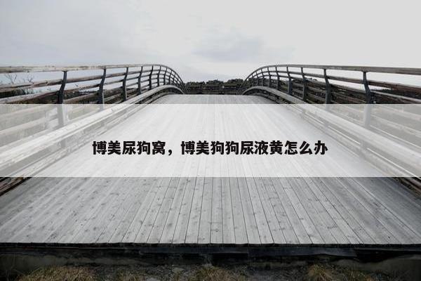 博美尿狗窝，博美狗狗尿液黄怎么办