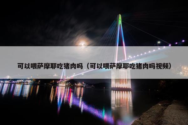 可以喂萨摩耶吃猪肉吗（可以喂萨摩耶吃猪肉吗视频）