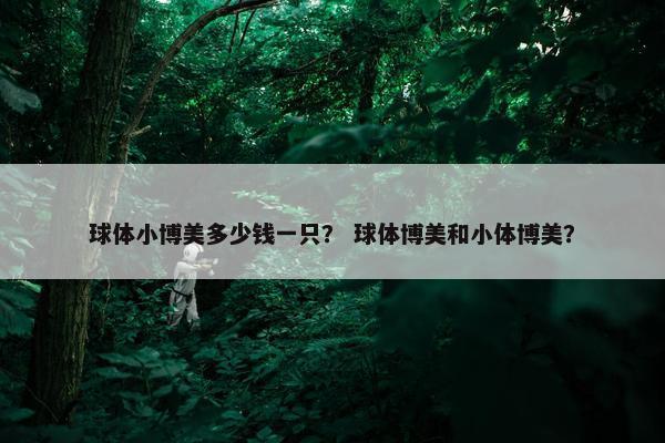 球体小博美多少钱一只？ 球体博美和小体博美？