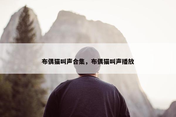 布偶猫叫声合集，布偶猫叫声播放
