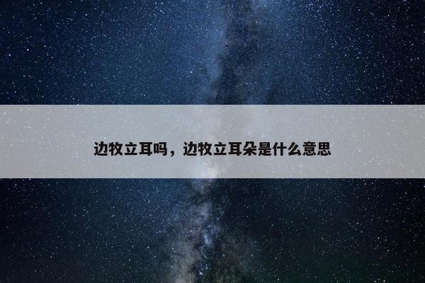 边牧立耳吗，边牧立耳朵是什么意思