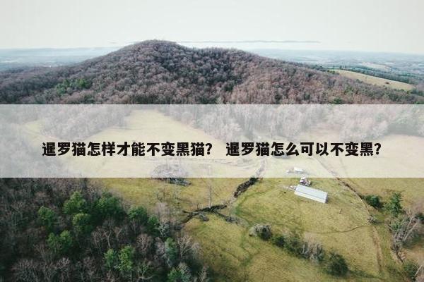 暹罗猫怎样才能不变黑猫？ 暹罗猫怎么可以不变黑？
