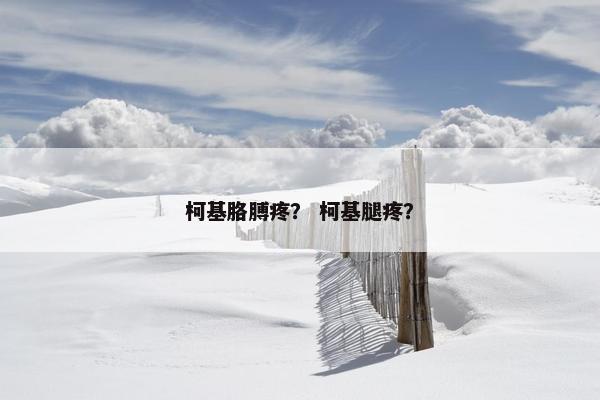柯基胳膊疼？ 柯基腿疼？