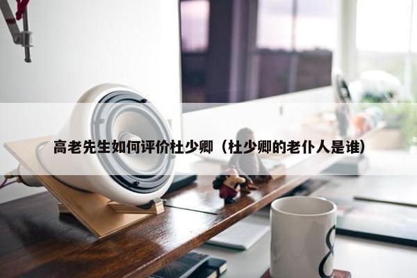 高老先生如何评价杜少卿（杜少卿的老仆人是谁）