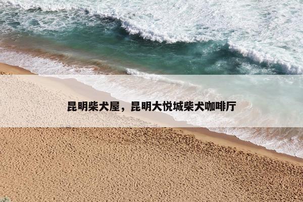昆明柴犬屋，昆明大悦城柴犬咖啡厅