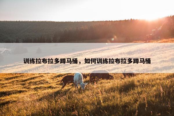 训练拉布拉多蹲马桶，如何训练拉布拉多蹲马桶